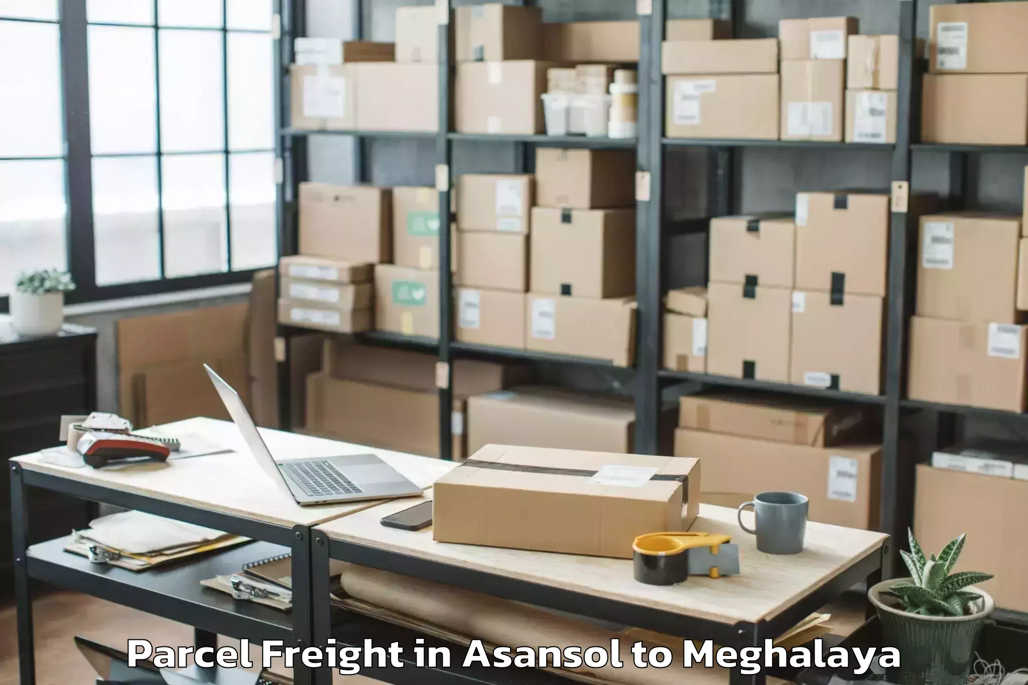 Professional Asansol to Williamnagar Parcel Freight